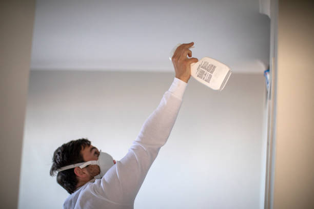 Best Mold Damage Repair  in Viola, IL