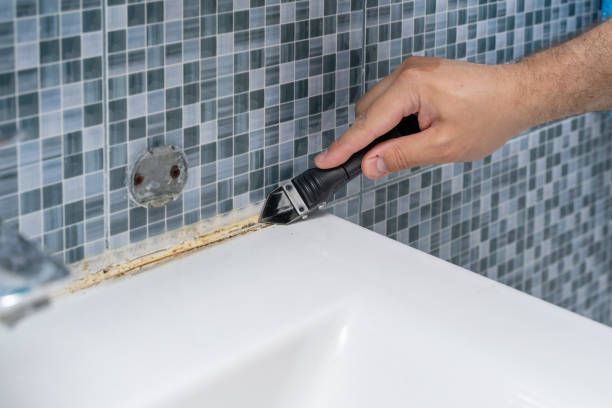 Best Fast Mold Removal  in Viola, IL